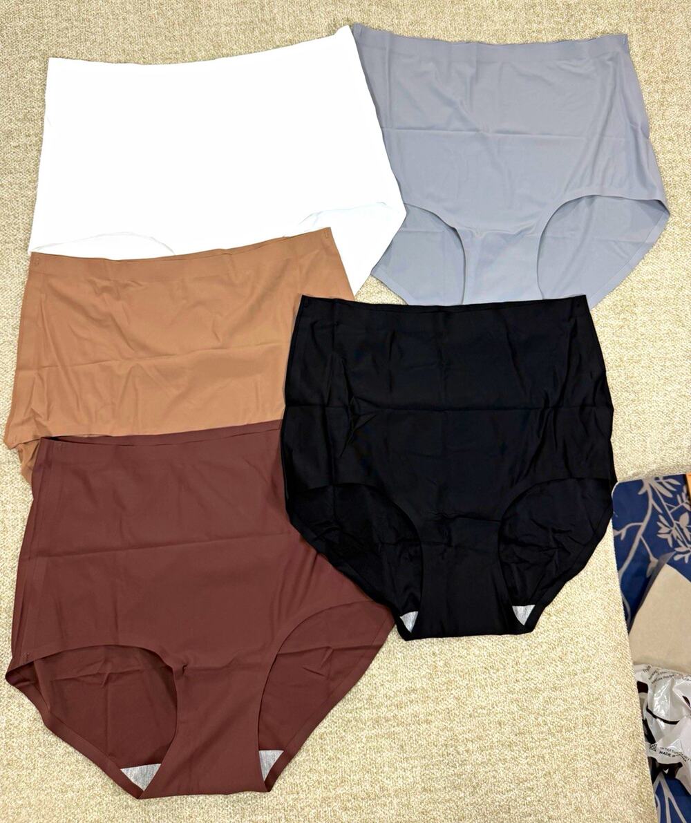 fallsweet Seamless High Rise Brief Panties 5 Pack Size L Multicolor